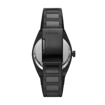 Fossil Everett